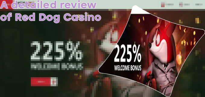 Red dog online casino
