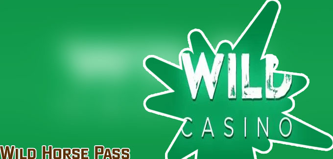 Wild casino online